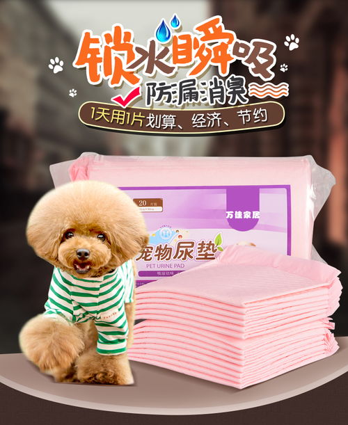 狗狗尿垫选择指南 从泰迪到全犬种，如何挑选优质宠物隔尿用品