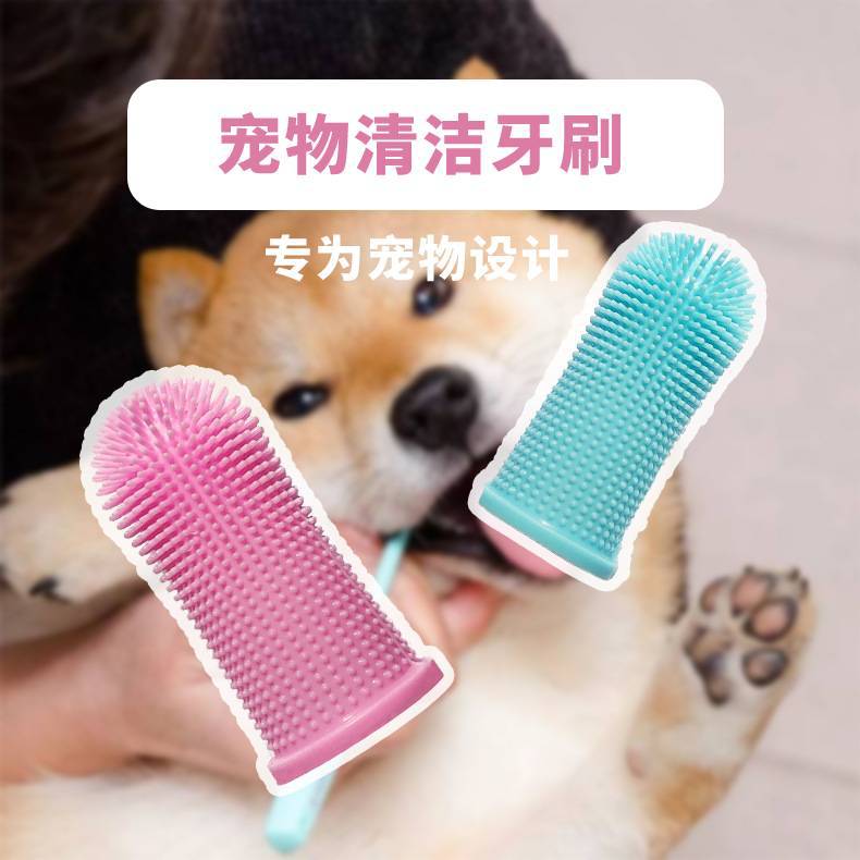 狗狗口腔清洁新选择 详解硅胶手指套牙刷