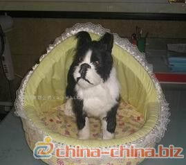 宠物用品库存管理全攻略 为爱宠备足粮草，让经营更从容