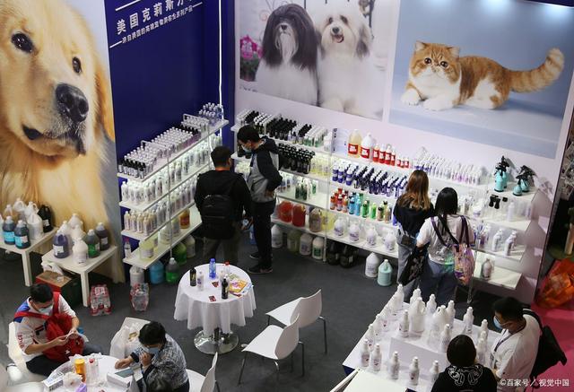 2024中国(宁波)国际宠物用品博览会 聚焦人宠和谐，引领行业新风尚