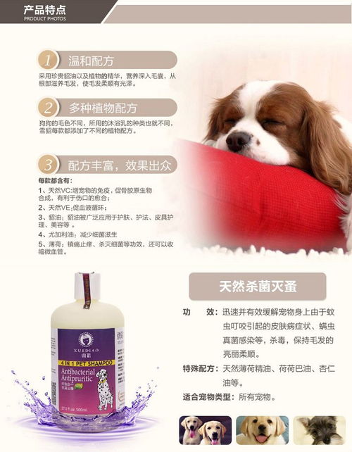 雪貂狗香波补钙套装 专业宠物护理，守护爱犬健康