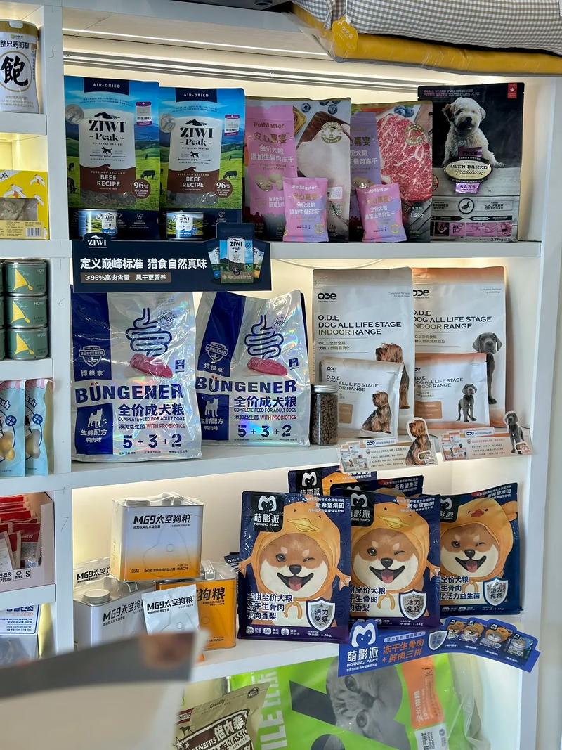 沈阳沈北新区 宠物用品店盘点与选择指南