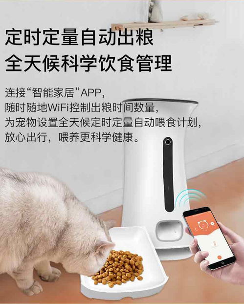 智能科技，宠爱不断——天赐良宠自动喂食器 解放宠主的定时定量好帮手