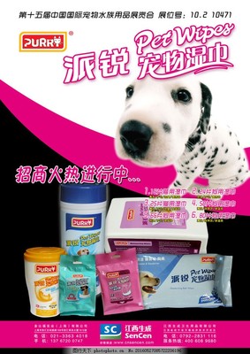 宠物用品海报设计模板 创意与实用的完美结合