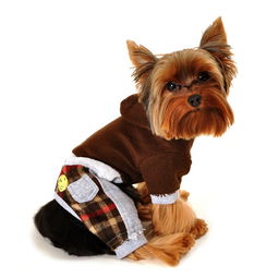 狗狗冬装棉衣 贝宠宠物用品优质商家指南