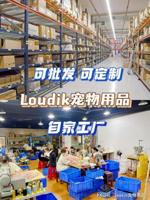 它经济持续升温，LOUDIK宠物用品供应商助你速开爆品