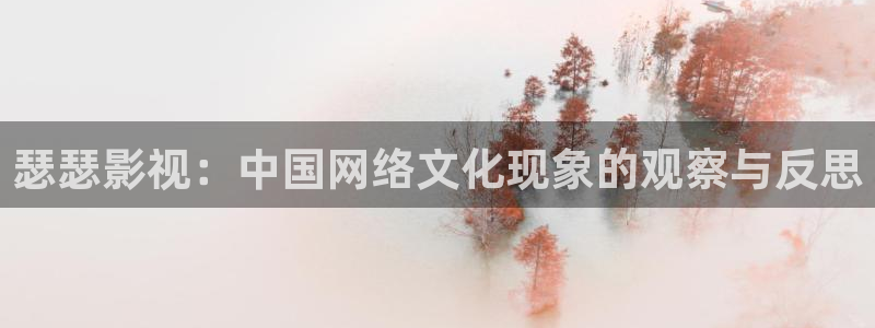 蓝莓视频在线网站：瑟瑟影视：中国网络文化现象的观察与反思