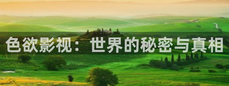 蓝莓叶黄素片好不好