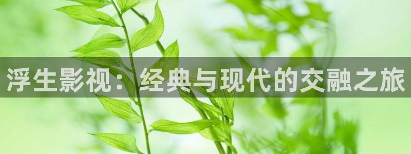 进去里蓝莓视频：浮生影视：经典与现代的交融之旅
