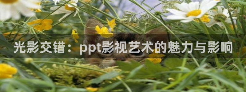 在线无限看免费蓝莓视频：光影交错：ppt影视艺术的魅力与影响